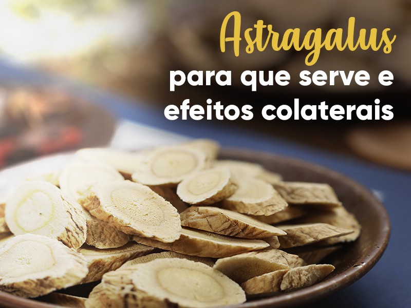 Astragalus: para que serve e efeitos colaterais